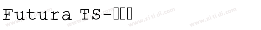 Futura TS字体转换